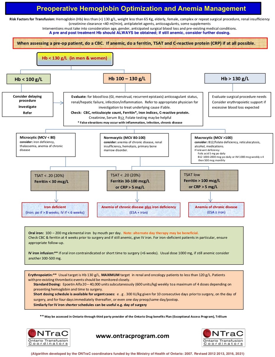 Figure 1 Optimisation préopératoire de l’hémoglobine et traitement de l’anémie
