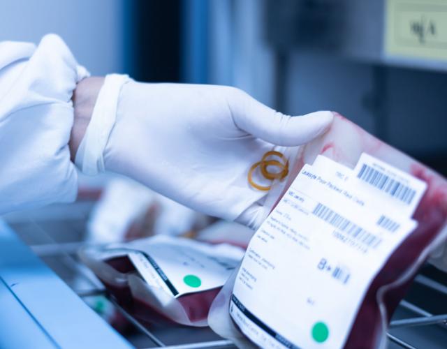 Photo of medical worker's gloved hand holding a blood bag